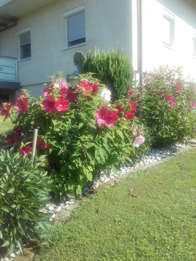 Dahoam By Fam. Franz Apartment Gamlitz Luaran gambar