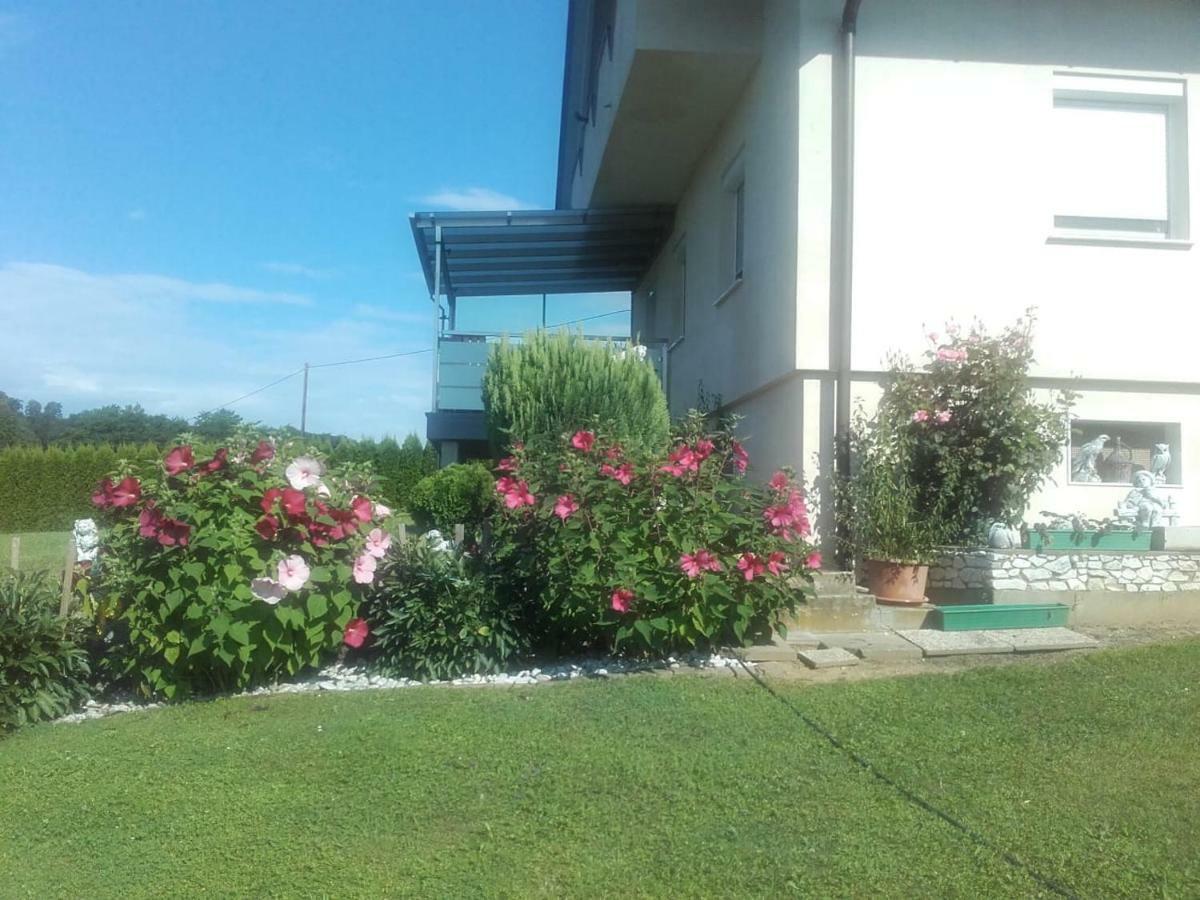 Dahoam By Fam. Franz Apartment Gamlitz Luaran gambar